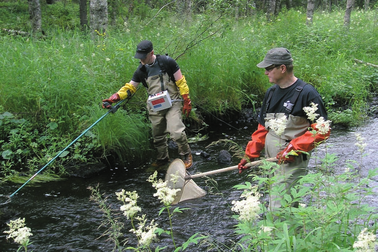 Sähkökalastajat. tutettujen taimenen poikasten pysyvyyttä alueella tai kalaston luontaista muuttumista kunnostuksen jälkeen.