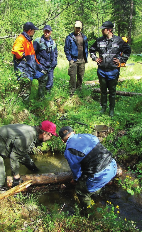 Toisessa tutkimusosiossa Oulun yliopiston vesi- ja ympäristötekniikan laboratorion tutkijat selvittivät, miten latvapurojen kunnostus vaikuttaa puron hydrauliikkaan, tulvan pienenemiseen, puron
