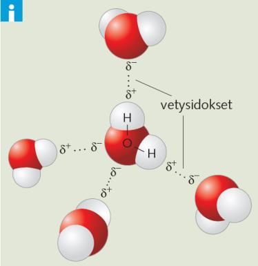 Veden ominaisuudet: Vesimolekyyli koostuu kahdesta vety ja yhdestä happiatomista,