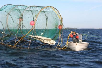 Kalastuksen ympäristöinvestoinnit (VARELYn ehdotus) Myönnetään ainoastaan kerran / ohjelmakausi / alus Kalastusaluksen omistajan