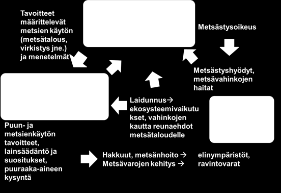 Hirvi, metsät ja