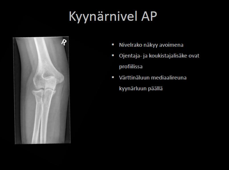 Liite 5 1
