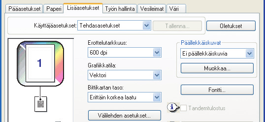 Ohjelmistosovelluksessa luodun välilehtitiedon tulostaminen (1) (1)