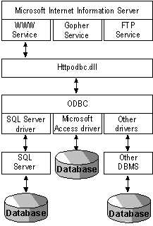 Internet Web-selain esimerkki: Veto - malli SQL-käskyt, dynaamisesti Web-palvelin HTML-sivut