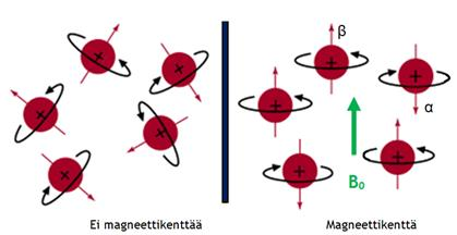4 Kuva 2. Atomiytimien asettuminen magneettikentässä [3 mukaillen]. Lämpötila ja magneettikentän suuruus määräävät spinien lukumäärän energiatasolla.