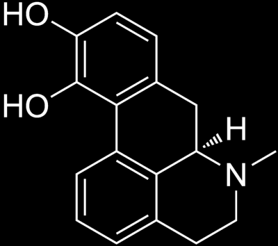 2 Apomorfiinin NMR-spektrien tulkinta Esimerkkilääkeaineena käytettiin apomorfiinia, joka on dopamiinin lailla vaikuttava morfiinin johdannainen.