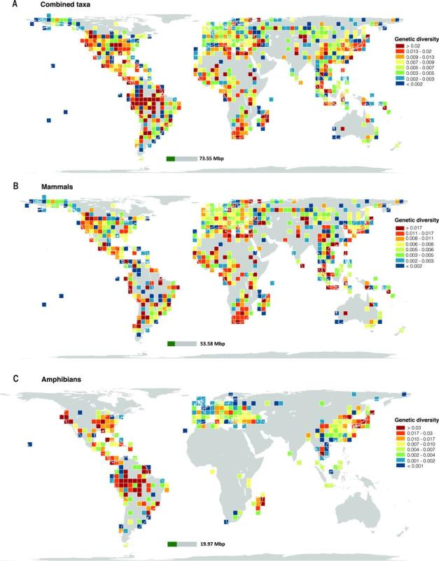 Fig. 1 Global distribution of genetic diversity. Andreia Miraldo et al.