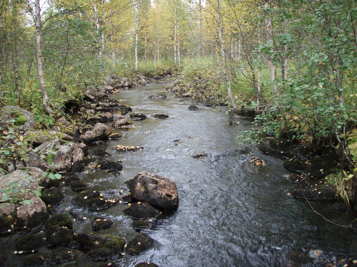 27 Kuva 4: Kosken rannoilla on runsaasti uoman kiveämiseen soveltuvaa kivimateriaalia.