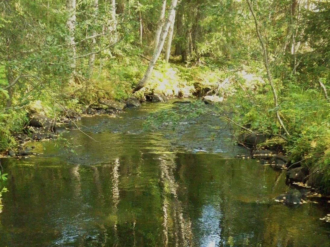 60 Kuva 32: Suukosken niskalla on hyvä alue taimenen kutusoraikolle. Kosken loppuosalla on lyhyitä koskikynnyksiä ja jokea on oikaistu tukkimalla vanha luonnonuoma ja ohjaamalla virtaus uuteen uomaan.