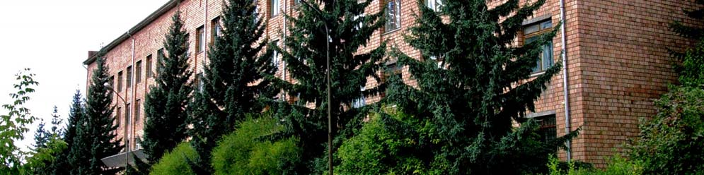SUKACHEV INSTITUTE OF FOREST OF
