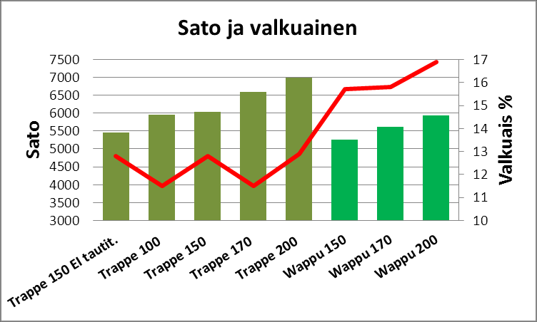 Kutakin koealaa puitiin edestakainen puintileveys kaistalla. Jyväsato punnittiin tilan kuivurilla, johon on asennettu vaaka- anturit. Puitu satomäärä muutettiin hehtaarisadoksi.
