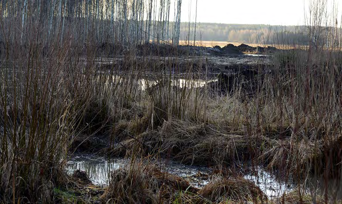 Kuva 11. Sama kuvaussuunta ruoppauksen jälkeen.