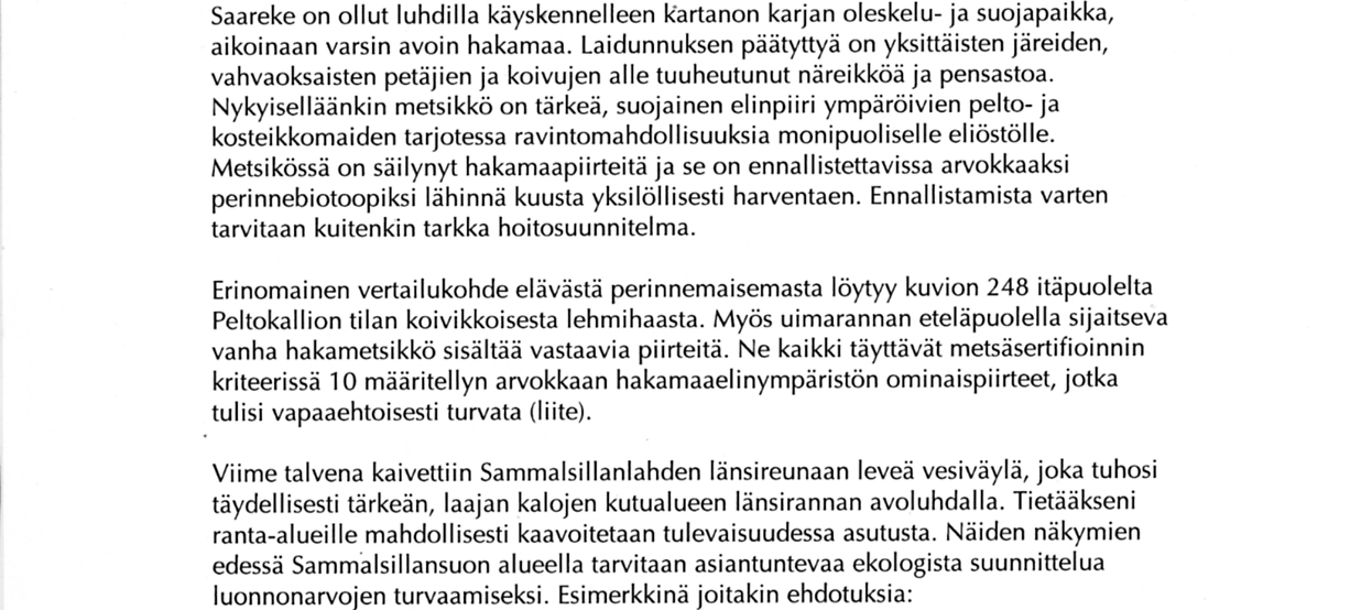 Itäluhdan kesätulva.