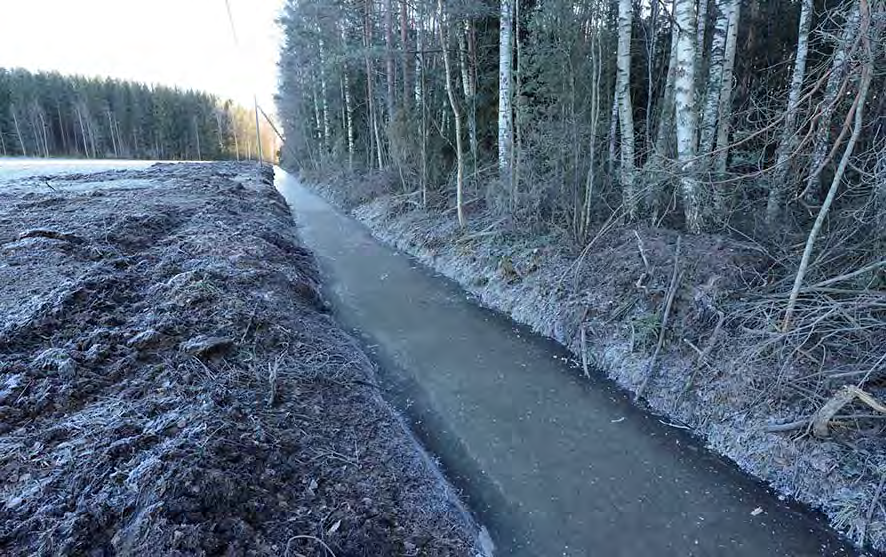 Syvät altaat ruopataan suoraan kiinni Ristolanojaan länsipuolelle ja Sammalsillanojaan molemmille puolille. Altaiden ruoppaus aloitetaan maan (po.
