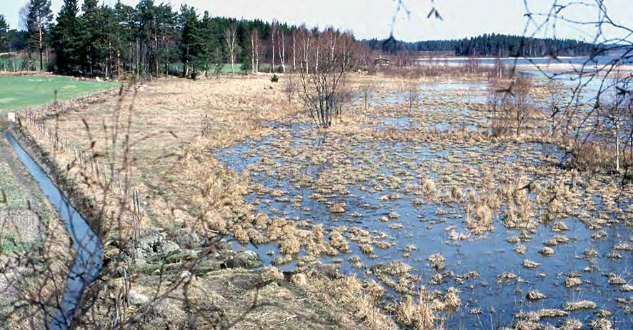 Sylvöjärvi ei lie koskaan ollut kirkasvetinen, sillä pohjakerrostumina on ollut jo Baltian jääjärven aikana kasaantuneita savikerroksia.