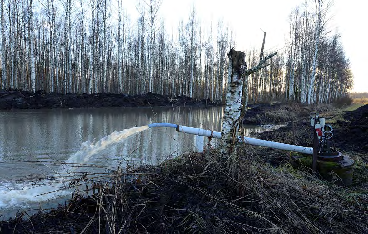 Veden syvyys on hyvin matala, keskimäärin vaaksan verran. Oik. pelto ojan laskuhaara. Kuva 2014 10 14 Markku Sakari Meriluoto. Kuva 2. Sama kuvaussuunta.