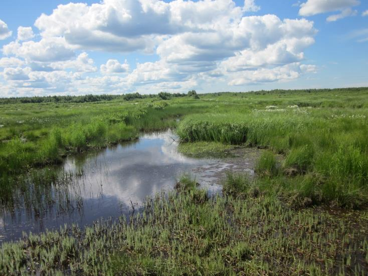 Perusselvityksiä Happamuusriskin selvittäminen: kokonaisrikkipitoisuus, lähtevän veden ph seuranta ja esim.