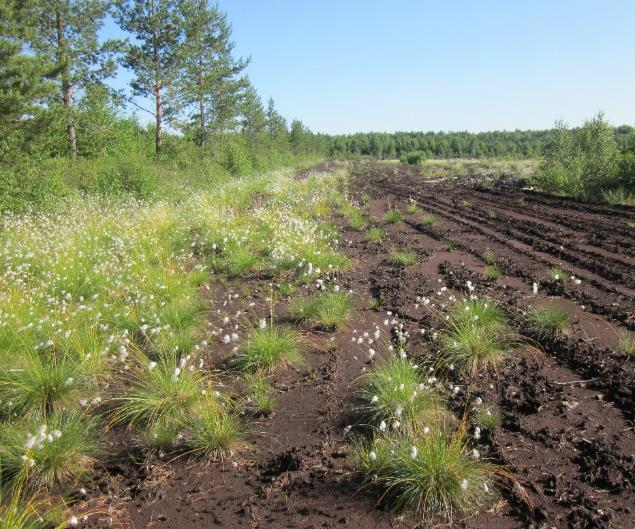 Yhteenveto Sopiva jälkikäyttömuoto on kohdekohtainen!