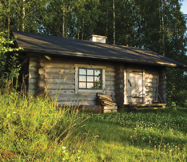 Yleistä pellavaöljystä Pellavaöljy on kautta historian tunnettu puunsuojauksessa käytettynä aineena sen hyvien ominaisuuksien vuoksi.