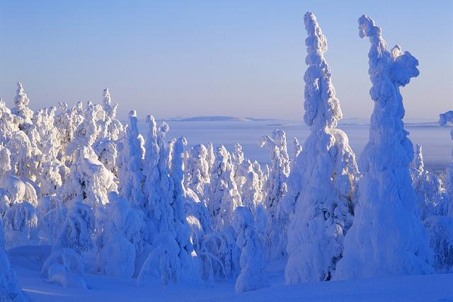 Lapin yleiset kirjastot Kuva: Visit Finland Lapin kirjasto kimppa (Rovaniemi, Tornio, Ylitornio, Pello, Kolari, Muonio, Kittilä, Enontekiö, Utsjoki, Inari, Sodankylä, Savukoski, Pelkosenniemi,