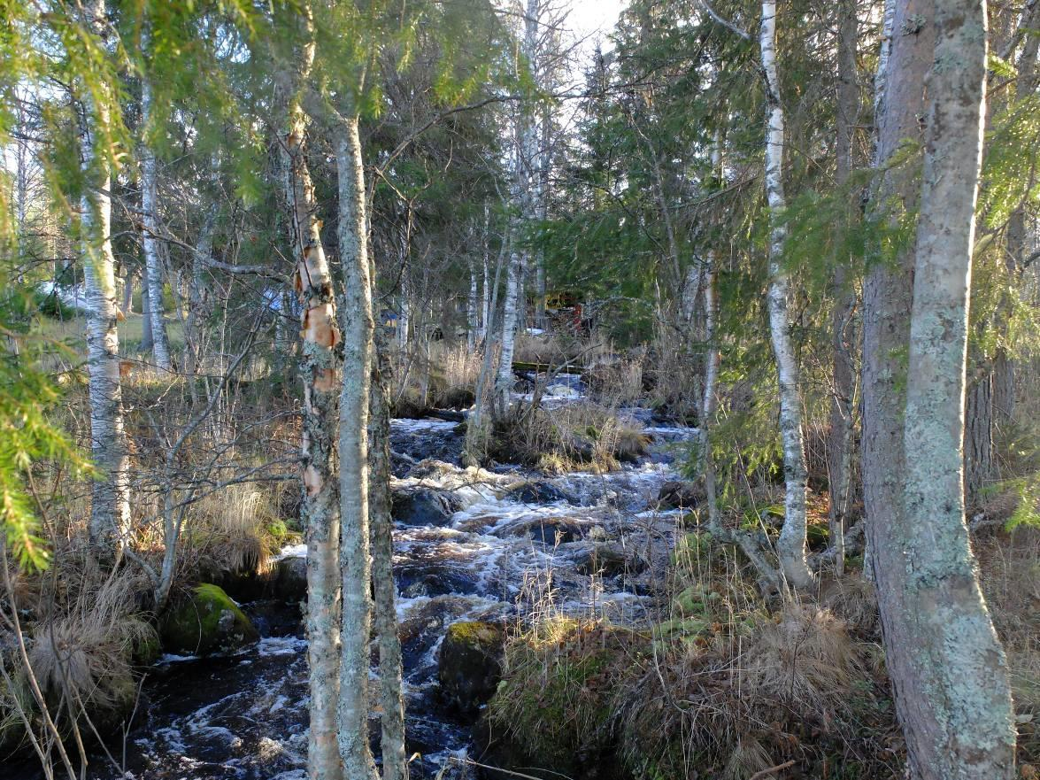 Myllyniemen ranta-asemakaavan kumoaminen