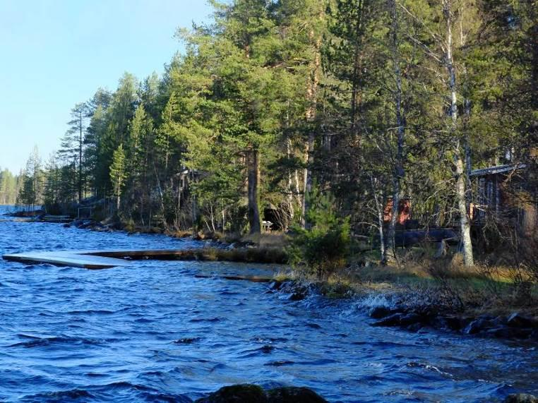 Jonkin verran puron reunoilla kasvaa kookkaita yksitäisiä kuusia ja harmaaleppää sekä koivua on runsaammin. Maapuita tai pystypökkelöitä ei ole tälläkään alueella.