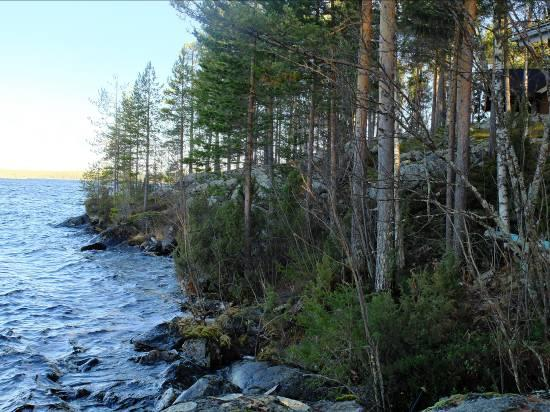 Topografia jyrkkenee lievästi ja ranta muuntuu lohkareiseen suuntaan. Maapuita tai pystypökkelöitä ei esiinny ja lehtipuuston määrä on vähäinen.