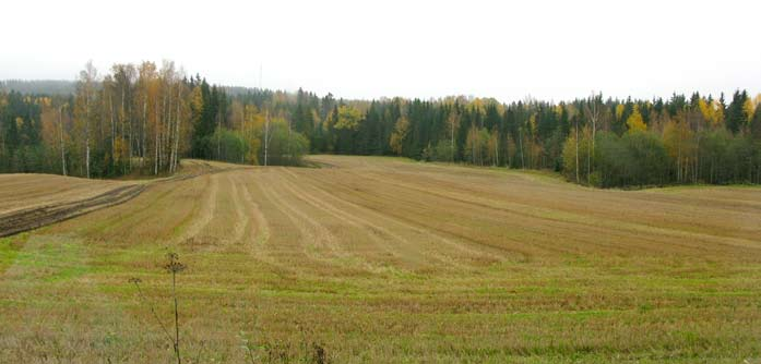näkyvät