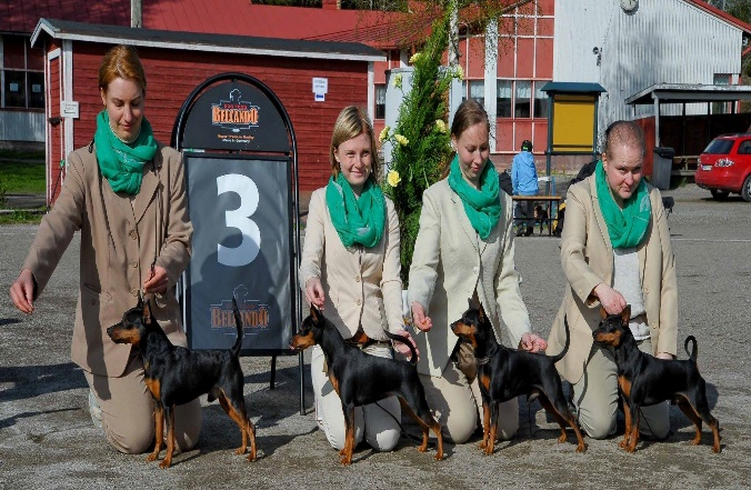 KENNEL HERZLICH 10,75 p. Elisa Simola, Lempäälä 8. KENNEL EFKERIA S 9,85 p. om. Riitta Turkkila, Helsinki 9. KENNEL RIIHIKARSINAN 9,45 p. om. Saaga Kiuru, Unaja 10.