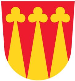 Kaarinan kaupunki