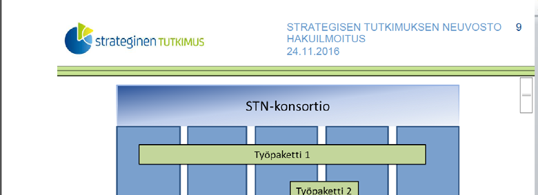 STN-konsortion rakenne