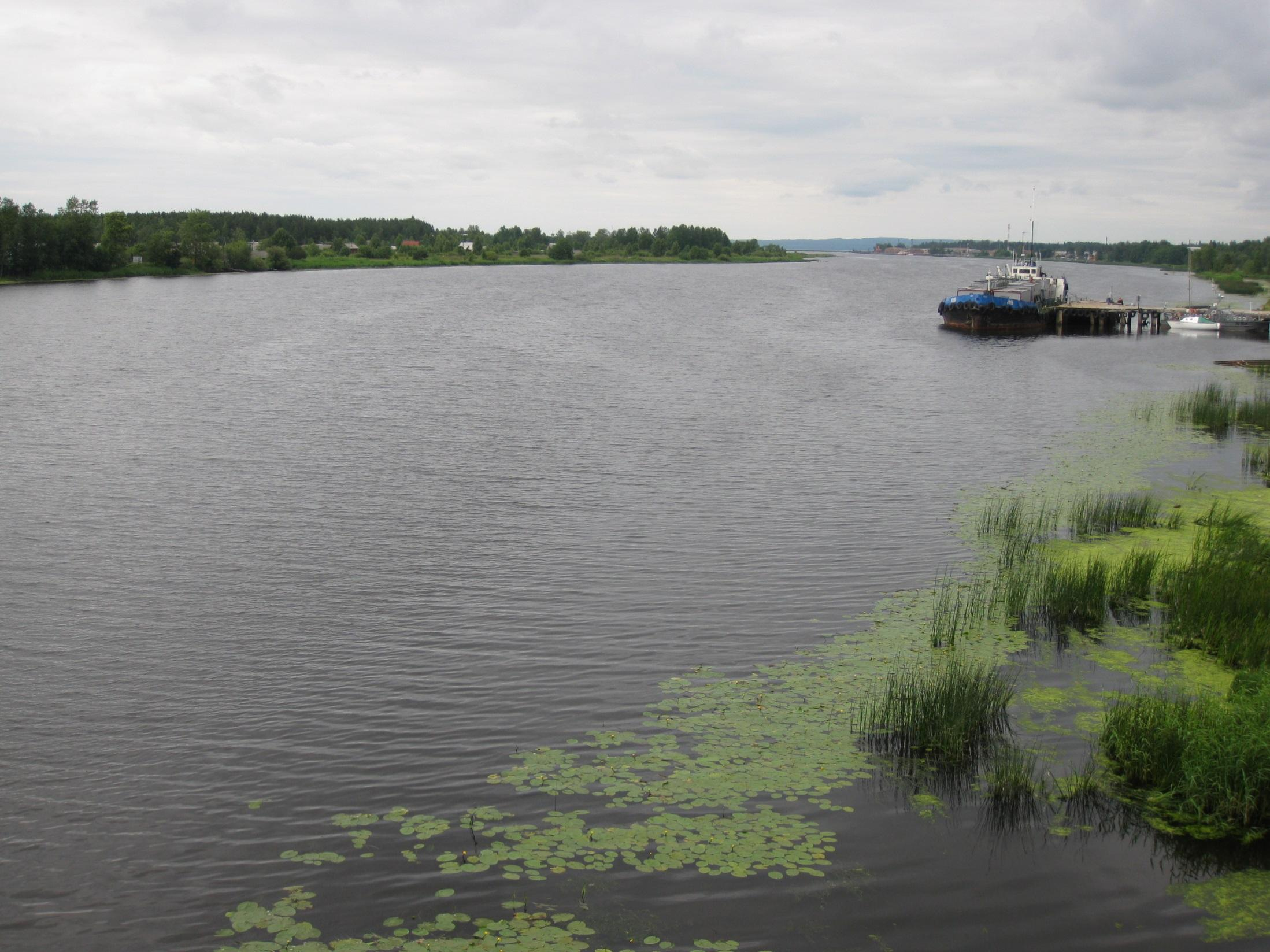Venäjä, Laukaanjoki Tot-P: n.