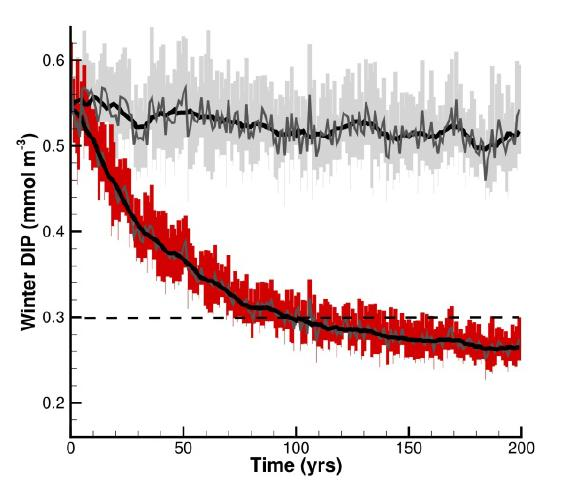 Time development of inorganic winter phosphorus concentration in the