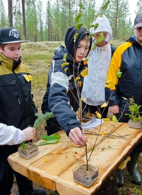 Arki-iltaisin ja viikonloppuisin toimijoiden asiakkaat ja sidosryhmät ovat tervetulleita tutustumaan Bioaikatiedekeskusnäyttelyyn sekä toimijoiden toimintaan.