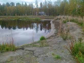 saatto-ojan kautta. Itse luhtamainen ja puuton pintavalutuskenttä (ks. myös kuva 2) häämöttää koivurivistön takana.