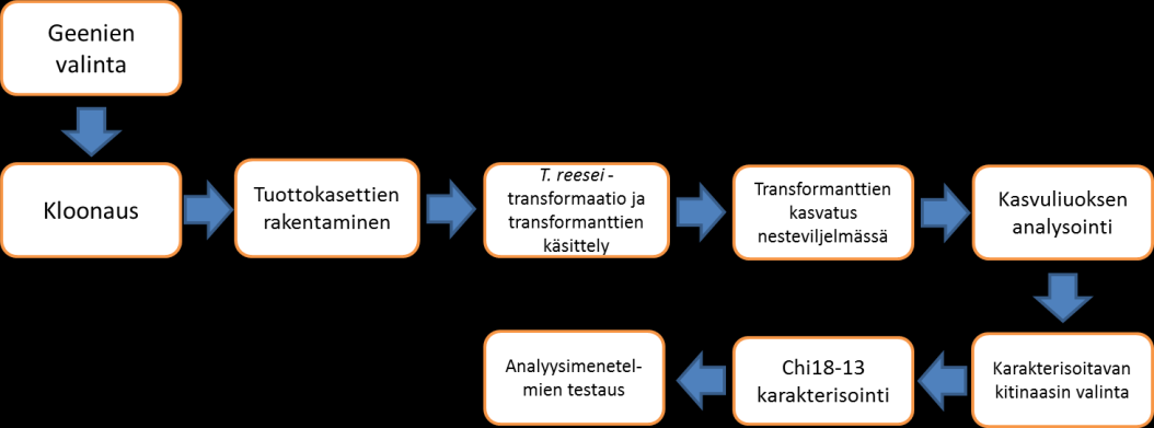 10 KOKEELLINEN OSA 4 Materiaalit ja menetelmät Työn kokeellinen osuus kesti useita viikkoja johtuen T. reesei -homeen pitkistä kasvatusajoista.