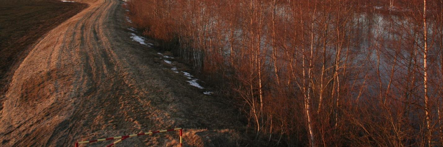 Lapuanjoen järjestelyn III vaihe käsitti Hirvijärven tekojärven rakentamisen ja Löyhingin tulva-alueen pengertämisen.