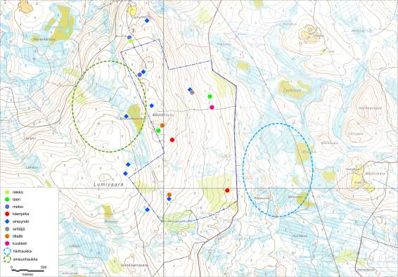 PROKON Lumivaaran tuulivoimapuisto VAIKUTUKSET LINNUSTOON kusta (Pöyry Finland Oy 2014). Sähkönsiirtovaihtoehdon alueella ei sijaitse tunnettuja petolintujen pesiä (Pöyry Finland Oy 2014). 12.3.
