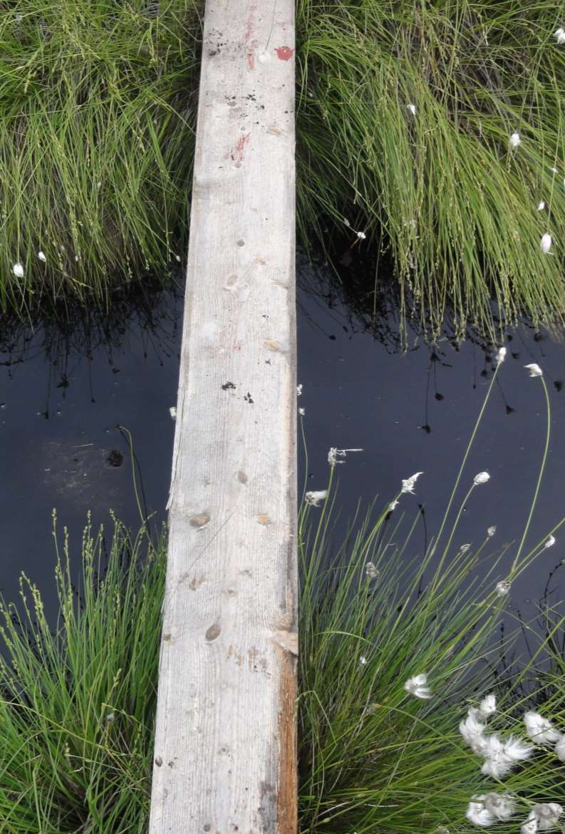 Prokon Lumivaaran tuulivoimapuisto LÄHTEET