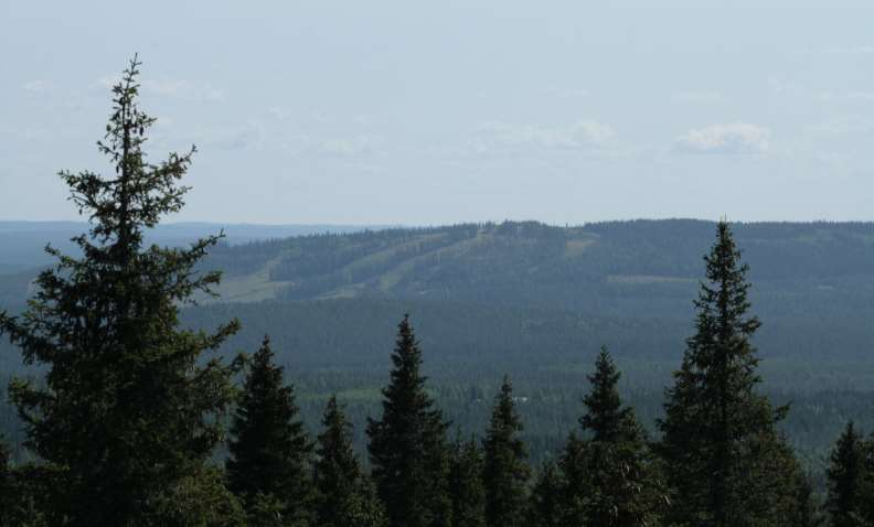 PROKON Lumivaaran tuulivoimapuisto VAIKUTUKSET MAISEMAAN JA KULTTUURIYMPÄRISTÖÖN PROKON Wind Energy Finland Oy 8 VAIKUTUKSET MAISEMAAN JA KULTTUURIYMPÄRISTÖÖN 8.