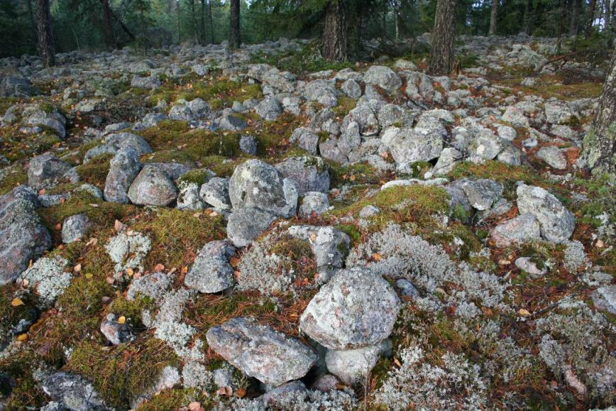 17 DG1082:1 Pirunpeltoon tehty säilytyskuoppa.