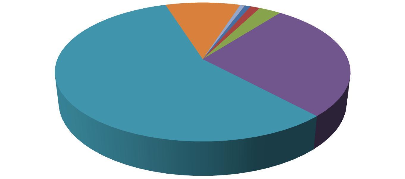 4170 3 10 % 242269 57 % Nopeusjako vaihe 1 55 0 % 2390 0 % 191 3259 01 % 5405 1 % 12249 3 % 117487 28 % <= 20 21-30