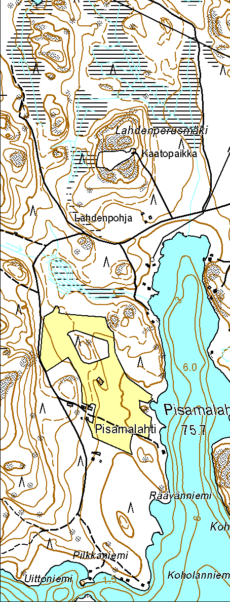 Linnavuori,