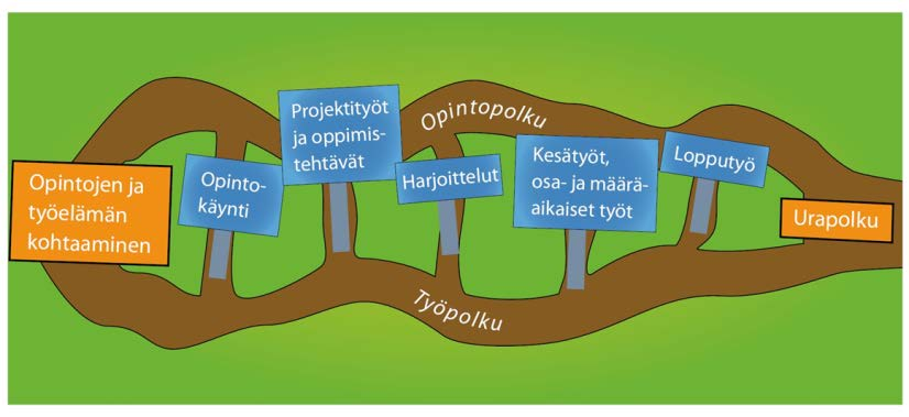 Suunnitelmallinen oppilaitosyhteistyö -
