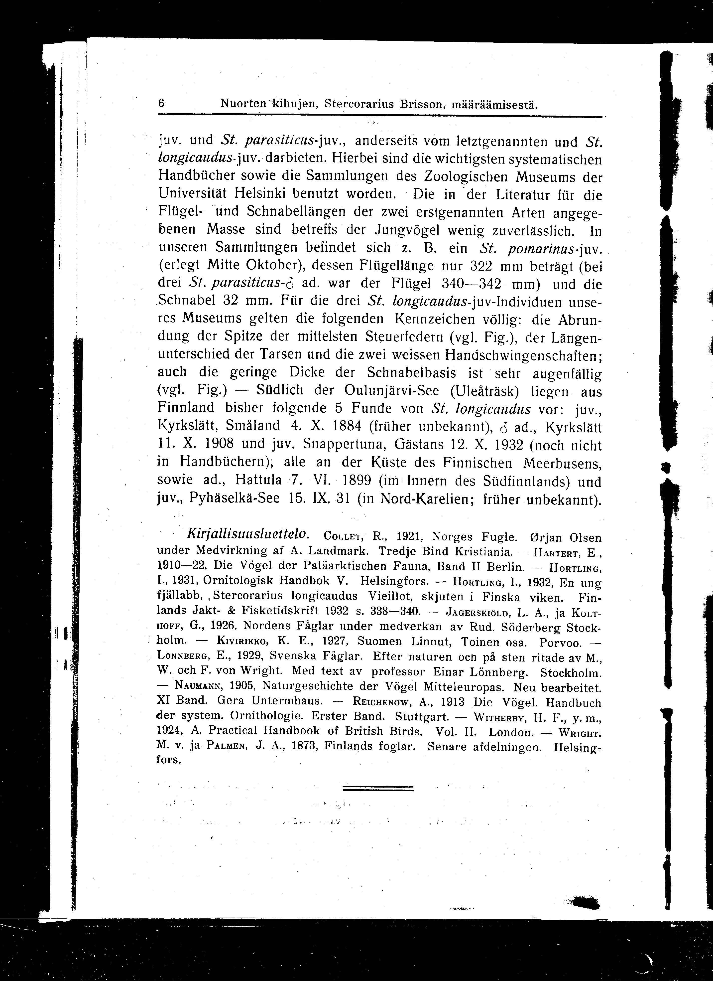 6 Nuorten kihujen, Stercorarius Brisson, määräämisestä. juv. und St. parasiticus-juv., anderseits vom letztgenannten und St. longicaudus-juv. darbieten.