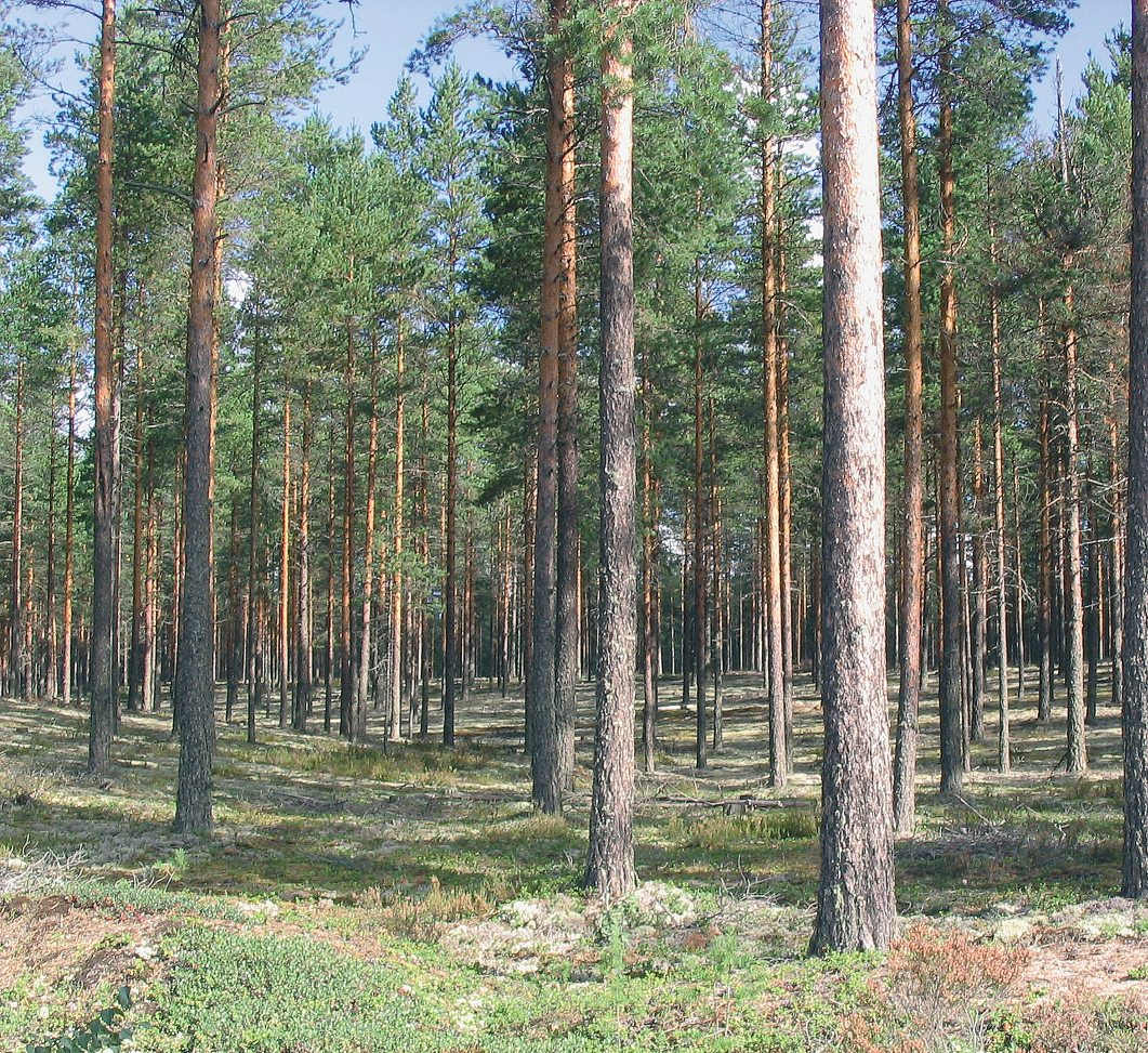 YMPÄRISTÖOPAS 2009 Pohjavesialueiden kartoitus ja