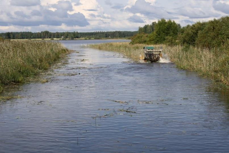 Hankkeiden välinen yhteistyö: Rannat kuntoon ja Rannat kuntoon Järviruoko järvestä pellon laidalle Tavoite: Case Kuikansalmi: parannetaan