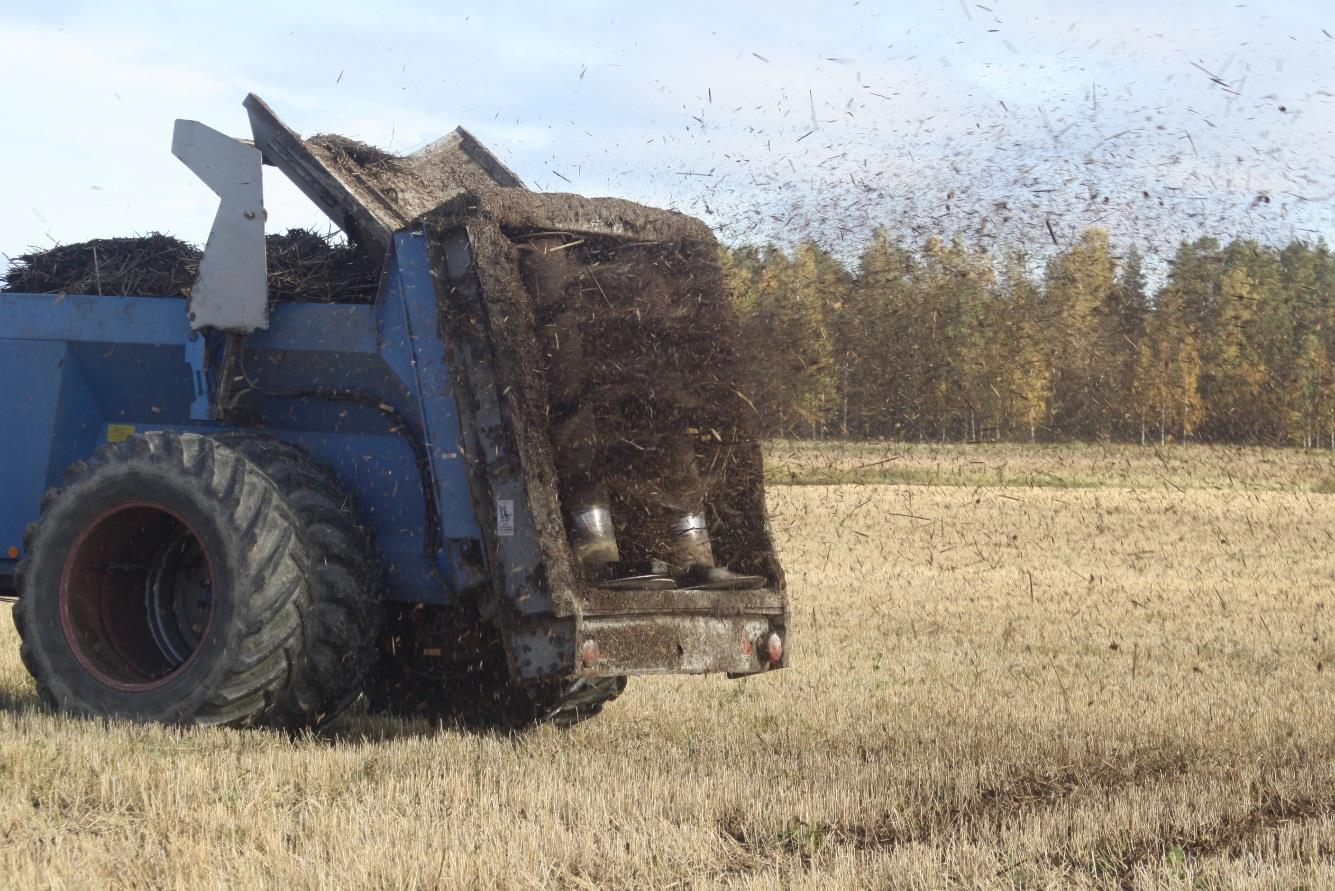 Ruovikon levitys peltoon case Roukalahti 2015 niitoista kasattu ruokomassa maatunut 1 vuoden ajan levitettiin pellon pintaan 50-60 m3
