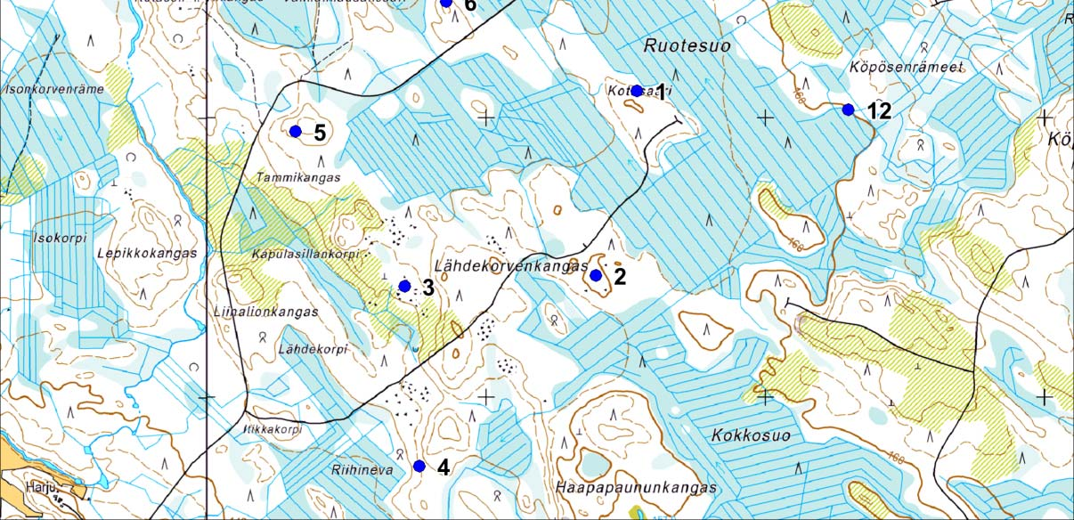 Laskennat suoritettiin varhaisaamun tunteina, jolloin lintujen lauluaktiivisuus on suurimmillaan. Sää laskentapäivinä oli poutainen ja vähätuulinen.