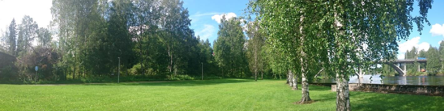 3.3 Luonnonympäristö Alueelta laadittiin luontotarkastelu marraskuussa 2015. Kuntalan pihapiiri sekä kevyen liikenteen väylän ja rannan välinen alue ovat hoidettua puistoa ja nurmikkoa.